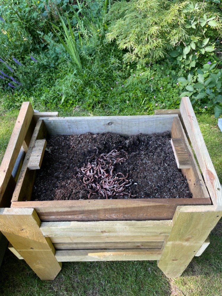 The Worm Man Wormery Build