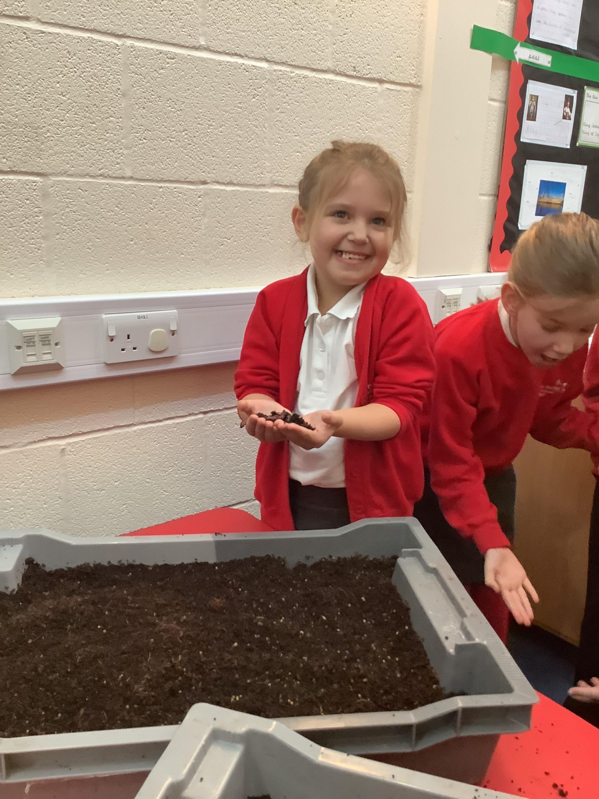 The Worm Man School Presentation