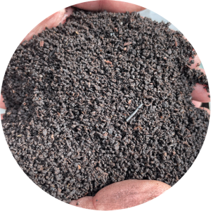 Worm Man Dendrobaena worm castings